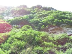 -少华山国家森林公园