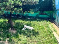 -西霞口神雕山野生动物世界