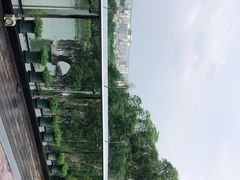 -璟象酒店-爱丽坊景观餐厅