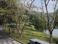 -国恩寺