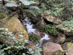 -雁南飞茶田景区