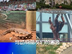 -西霞口神雕山野生动物世界