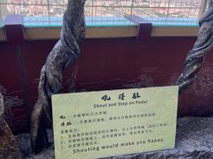 -中央电视塔旋转餐厅