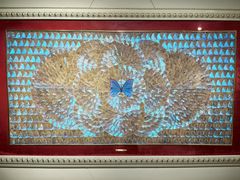 -上海昆虫博物馆