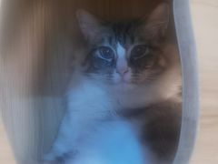 -白兔子密室(长寿路店)