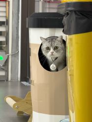 -我舞空间舞蹈培训