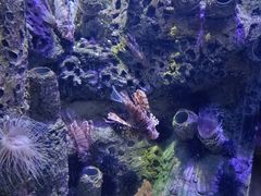 -太平洋海底世界