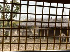 -上海野生动物园