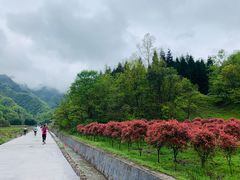 -武隆天坑寨子景区