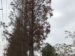 -长兴岛郊野公园农场食堂