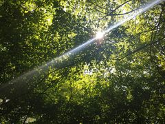 -大青沟风景区