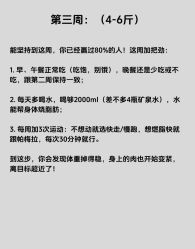 -Fundi张玉珊修身堂·indiba·BTL科技瘦身