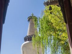 -张掖大佛寺景区