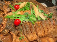 -老板恋上鱼(恒隆广场店)