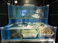 -福匠日本料理(人民路店)