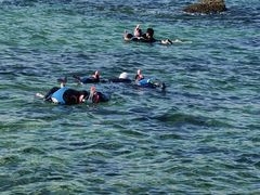 -海南清水湾莱佛士酒店