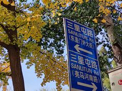 -三里屯东五街银杏大道