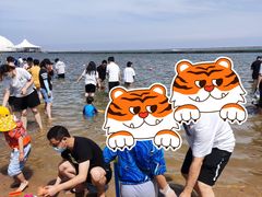 -碧海金沙