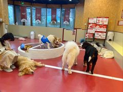 -和它·交个朋友·狗咖猫咖(爱琴海店)