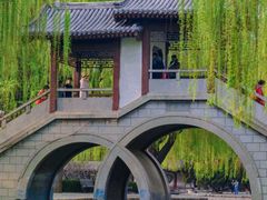 -团结湖公园
