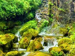 -鹿院坪生态旅游景区
