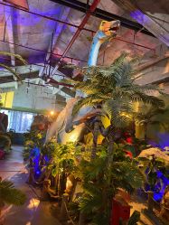 -恐龙探索乐园(磁器口店)