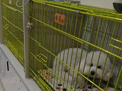 -科道动物医院·急重症中心(万达院)