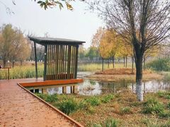 -东郊湿地公园