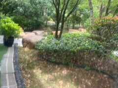 -万象温泉景区