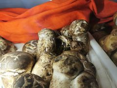 -菌之家·专业纯野生菌火锅·特色炒菌