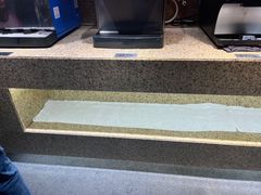 -汉巴味德(印象汇店)