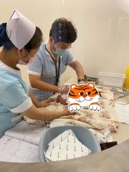 -美悦湾月子中心(熙湖店)