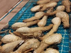 -新丁香海鲜酒店(银海商贸城店)