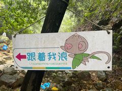 -南海湾森林生态园