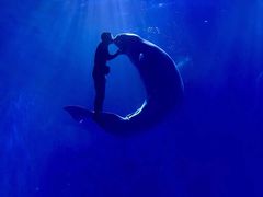 -多彩贵州城极地海洋世界