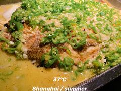 海鲈鱼-炉鱼(萧山万象汇店)