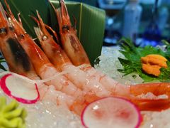 -初花·日本料理