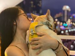 -天津戏剧博物馆