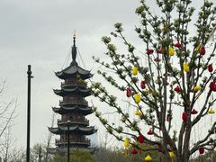 -龙华寺
