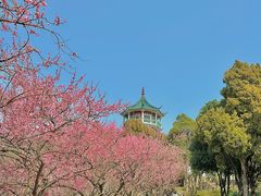 -无锡梅园公园