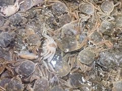 -千家粗粮王(MOMOPARK店)