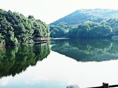 -白马涧龙池景区