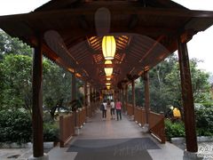 阳朔河畔度假酒店-广悦华阳朔河畔度假酒店(十里画廊遇龙河店)