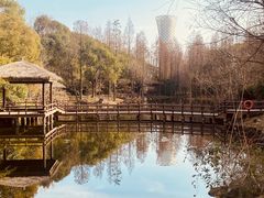 -上海滨江森林公园