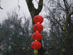-杭州西湖风景名胜区-三生石