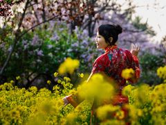 -赵州桥景区