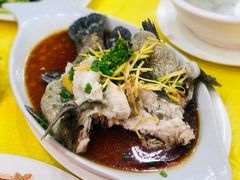 豉汁石斑鱼-浩海美食店(闸坡店)