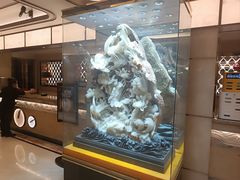 -粤珍轩·家宴·广式茶点(新城广场店)