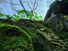 -句容茅山景区
