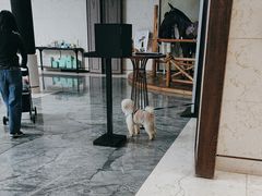 -上海崇明金茂凯悦酒店